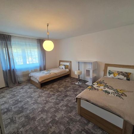 Ferienwohnung Freudenberg Freudenberg am Main المظهر الخارجي الصورة